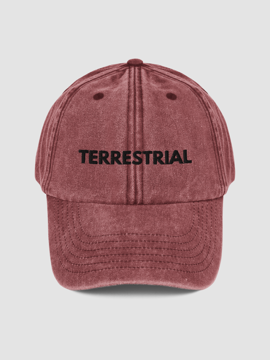 Classic Logo Distressed Hat product image (2)