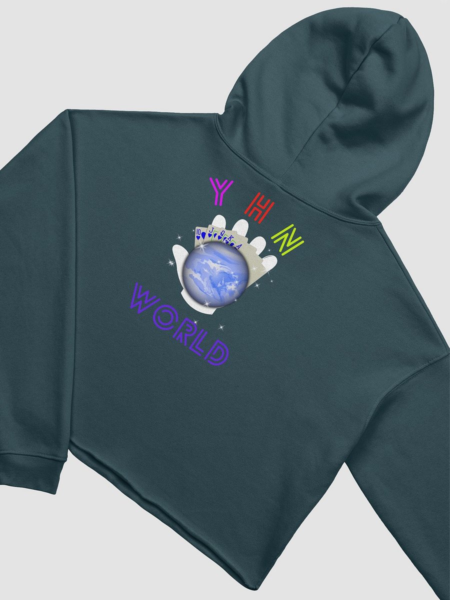 YHN World Cropped Hoodie product image (27)