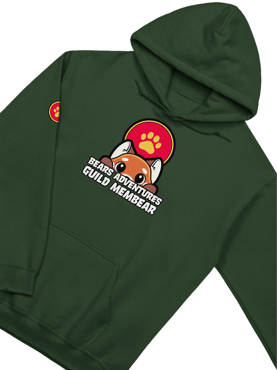 Guild Hoodie product image (3)