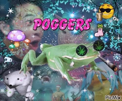 POGS IN CHAT!