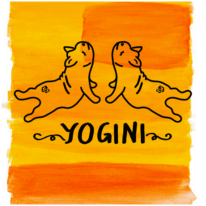 Yogini Duplet Orange (Unisex Tee) product image (2)
