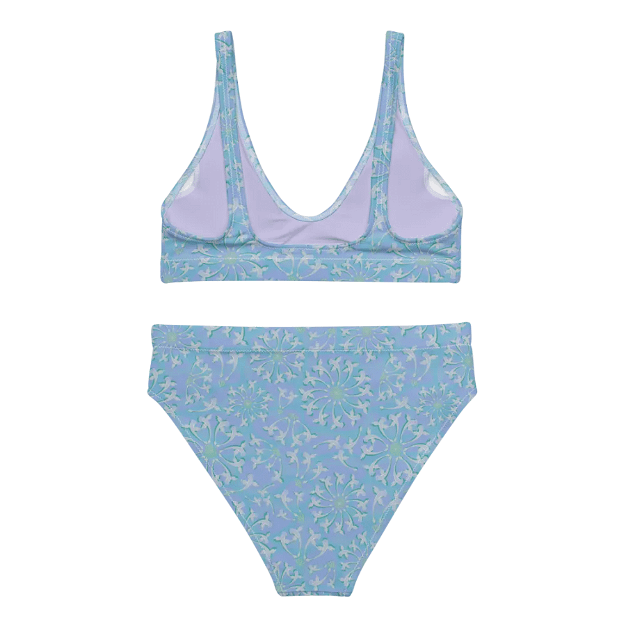 Fintastic Wish Sports Bikini product image (5)