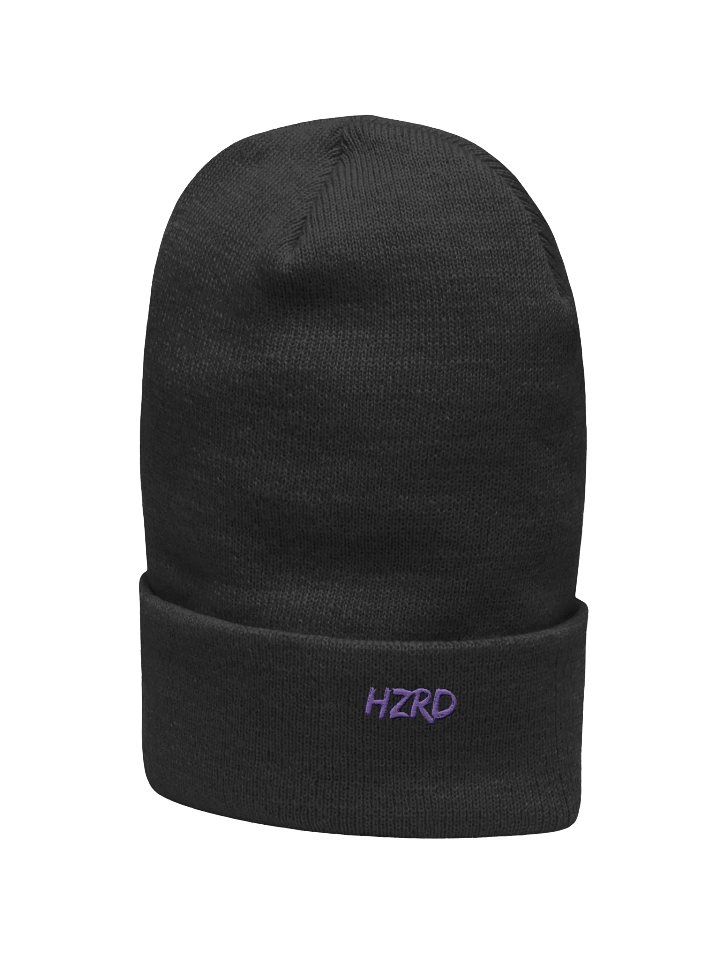HZRD Beenie product image (2)