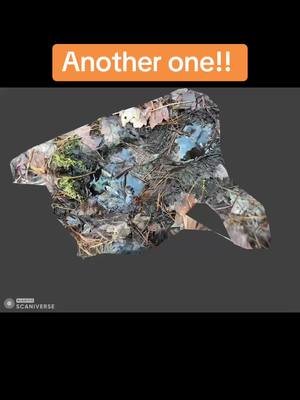 Bigfoot print in my back yard AGAIN!  Join us in our live investigations in the woods THESE WOODS!#tiktok #bigfoot #Yt #fyp #trendingvideo 