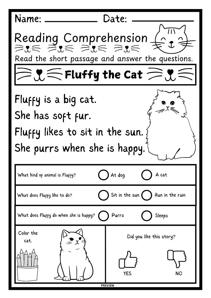 Fluffy the Cat - Kindergarten Reading Comprehension Worksheet product image (1)