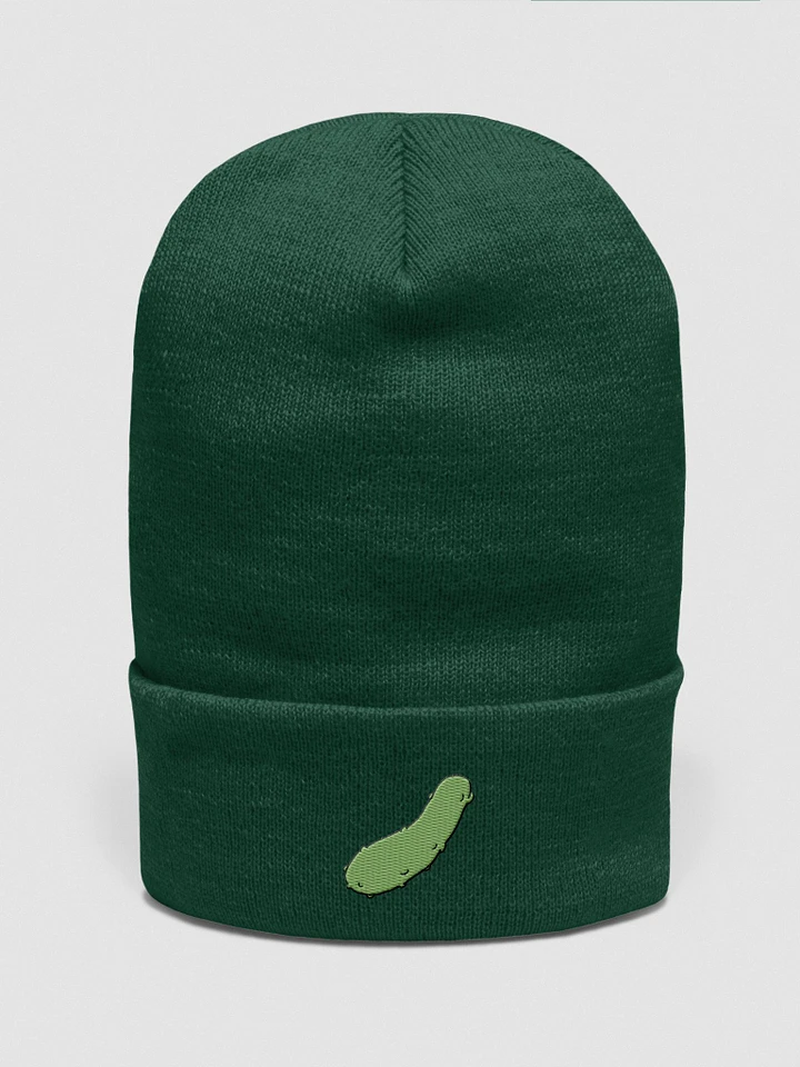 PICKL Beanie product image (1)