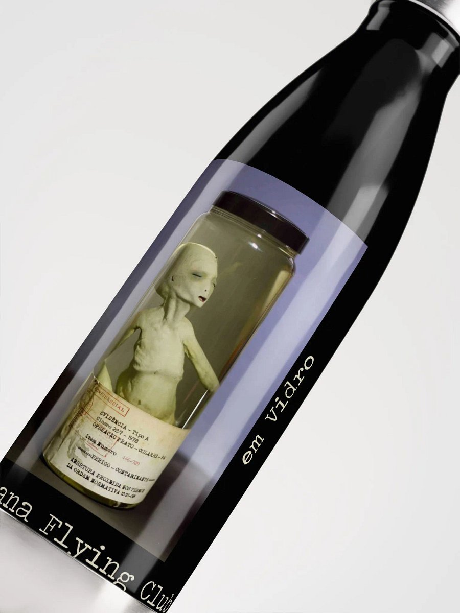 Ancient Astronaut Figure Suspended in Liquid Jar product image (5)