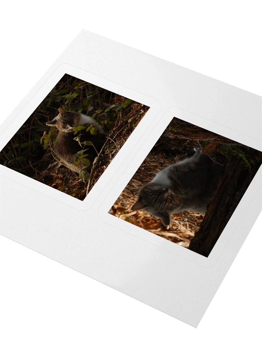 Forest Kitty - Sticker Sheet product image (3)