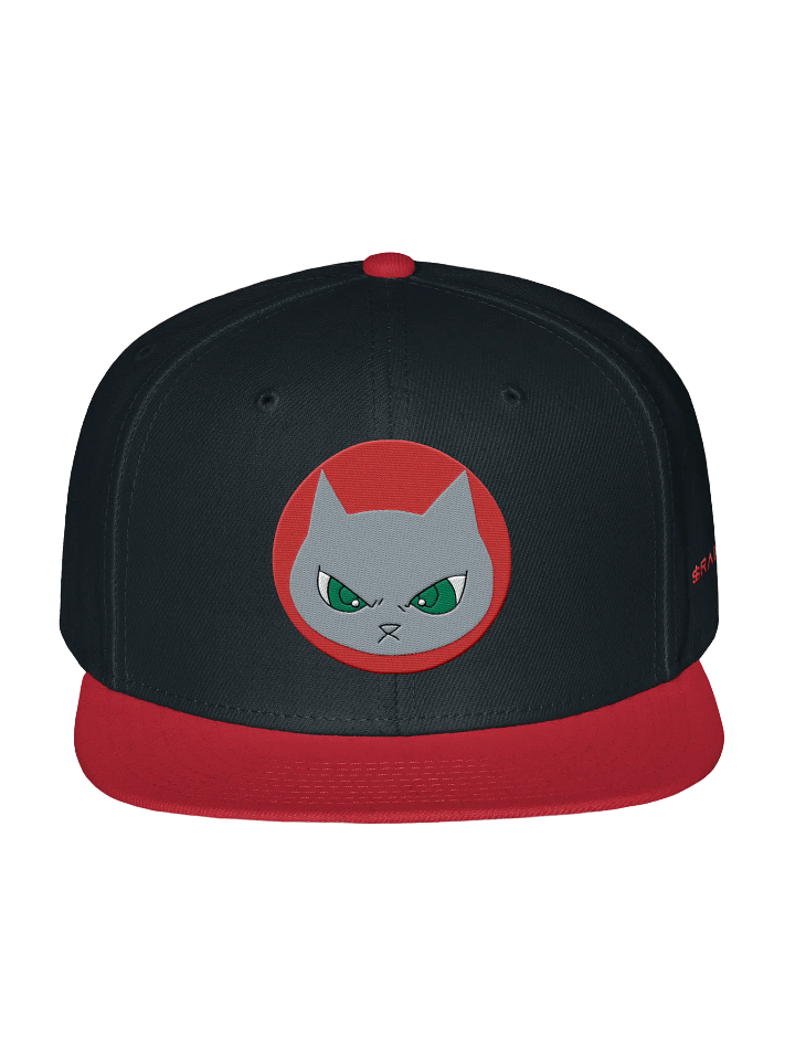 A $RADCAT Snapback Cap product image (2)