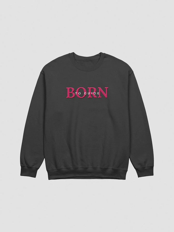 Born to Guide Projector Embroidered Sweatshirt (Pink) product image (2)