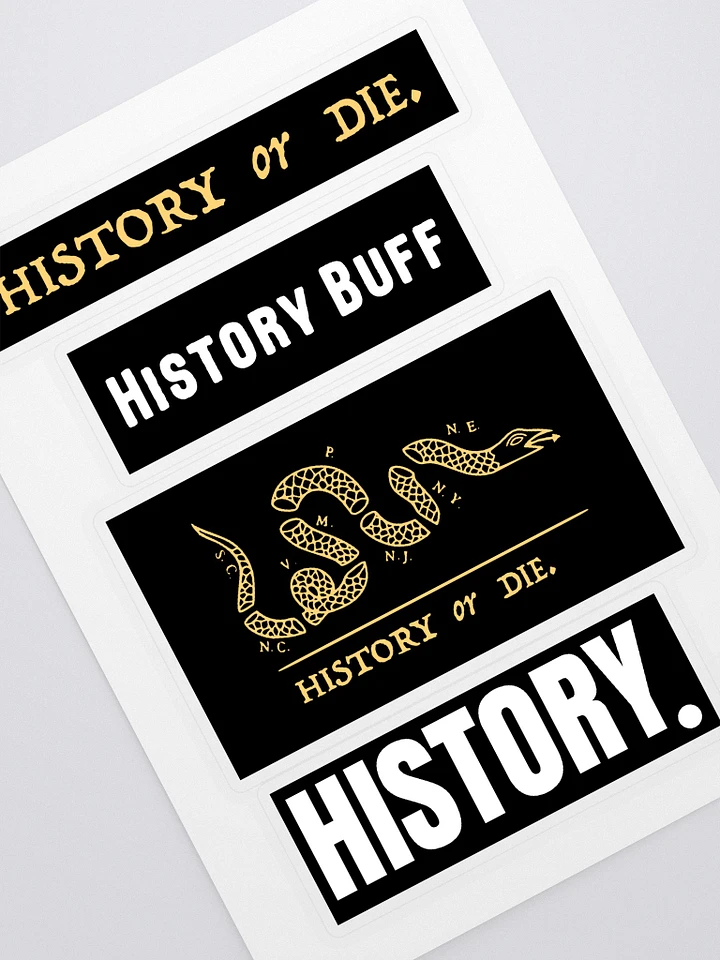 History Vibes product image (1)