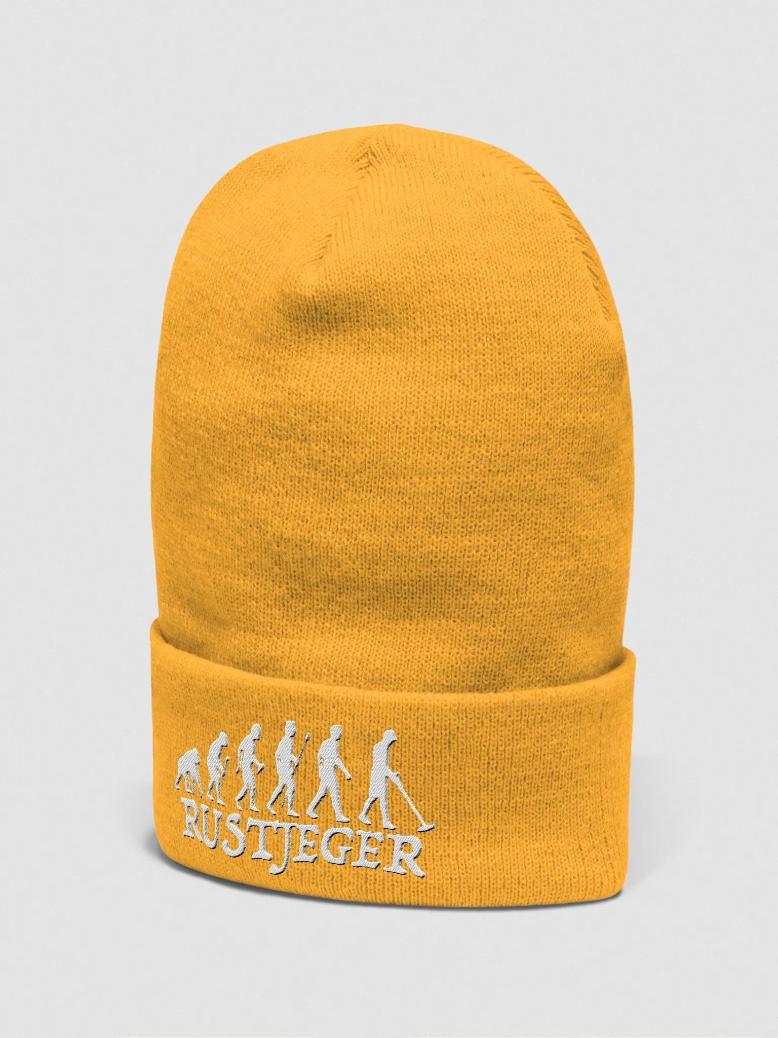 Evolutionary Progression Beanie product image (2)
