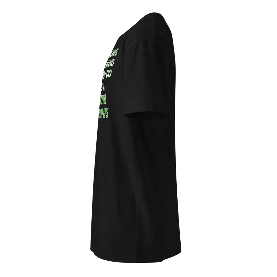 SHOWTIME ELECTRONICS Car Audio T-Shirt product image (7)
