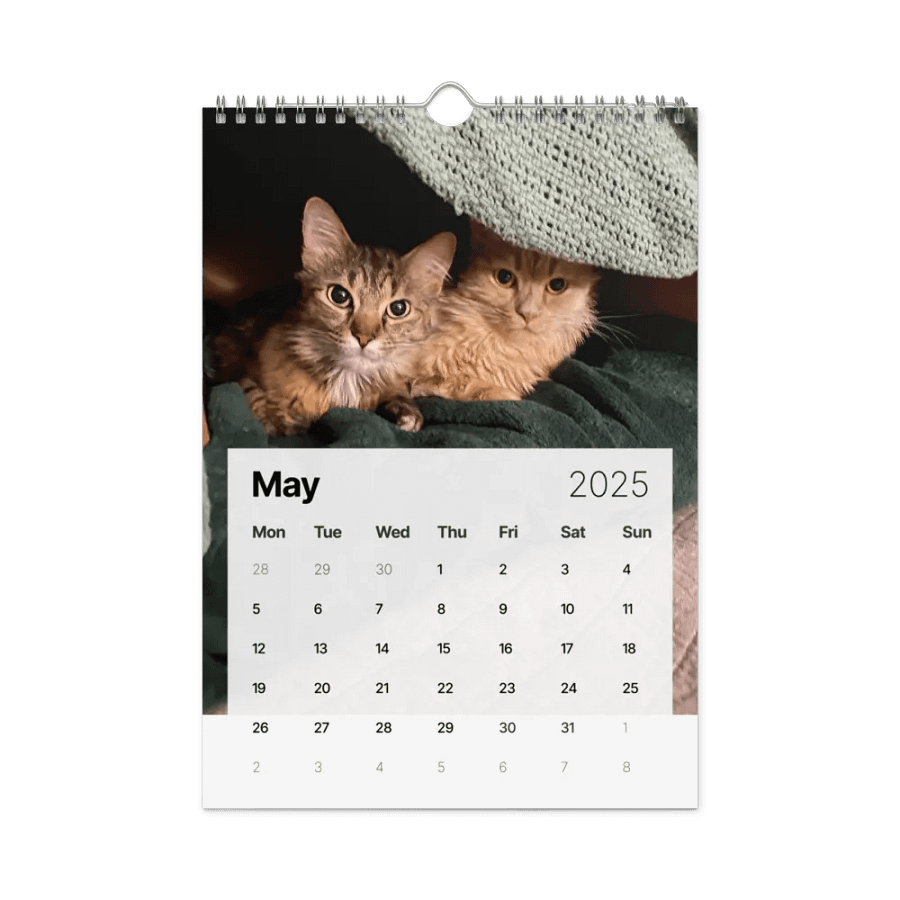 Gwen and Dia Calendar 2025 product image (10)