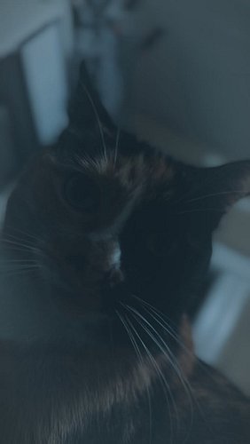 We couldn’t do this without you! #thanksgiving #smallbusiness #shopsmall #thankful #doomloop #doomloopnails #givethanks