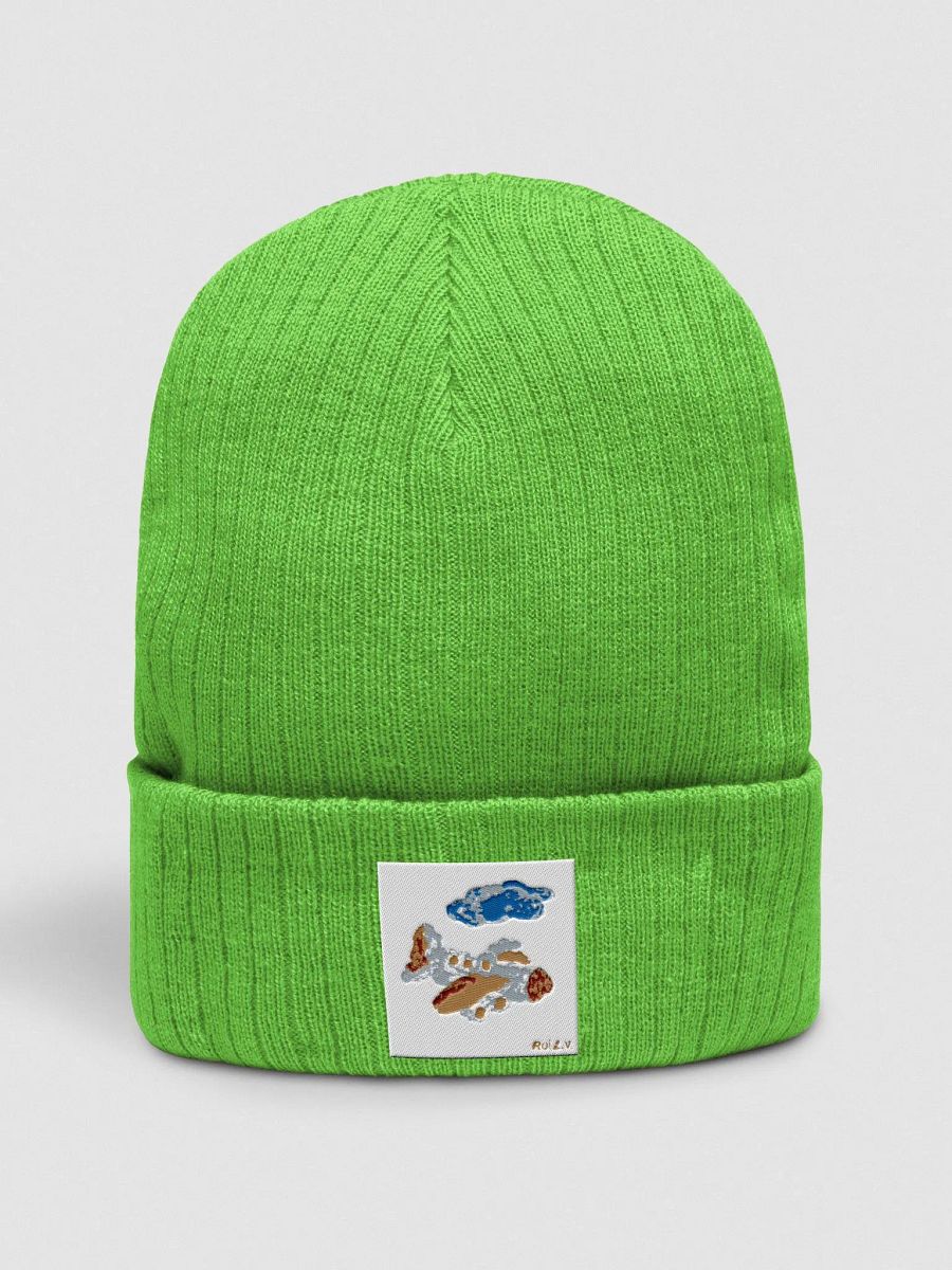Kid Airplane (Atlantis Ribbed Knit Beanie) product image (4)