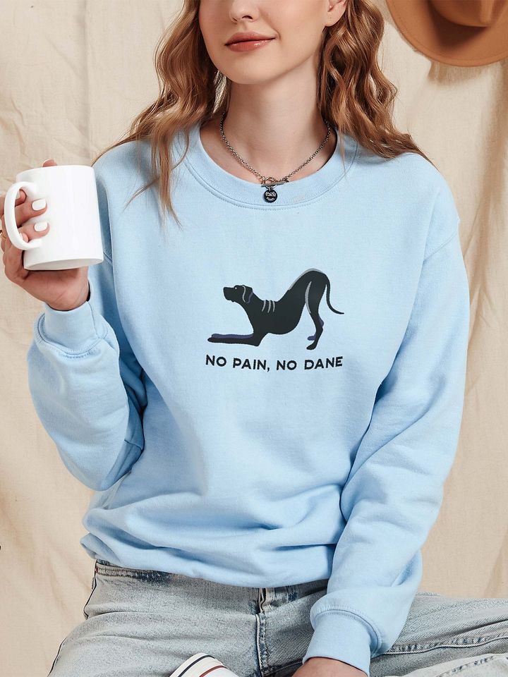 No Pain, No Dane Sweatshirt (Embroidered) of a Great Dane(Black) product image (2)