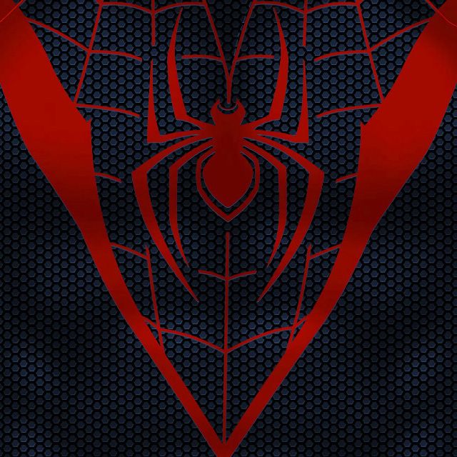 Spider | Miles product image (1)