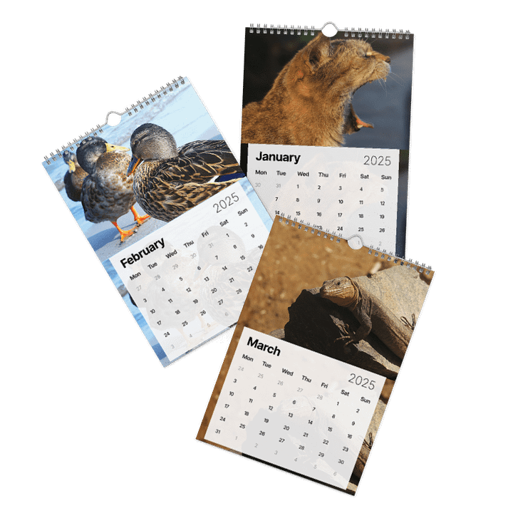 Calendar 2025 - Animals from around the world product image (2)