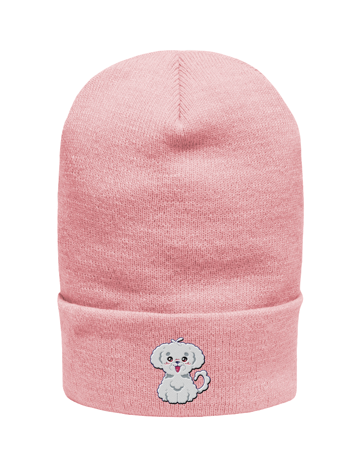 RamenDoodlesCafe Mascot Embroidered Beanie product image (6)