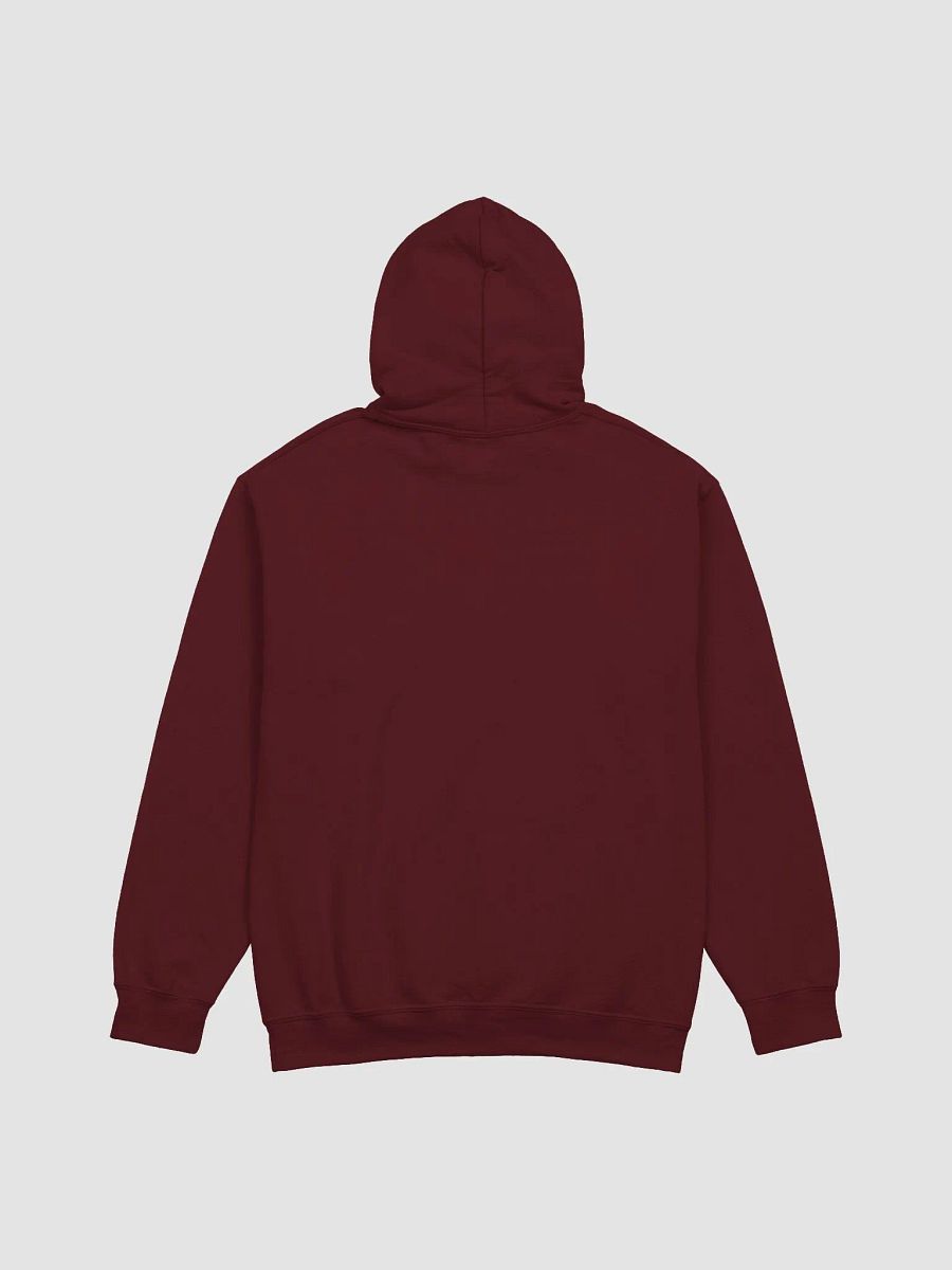 Aver Viodoxa Hoodie product image (3)