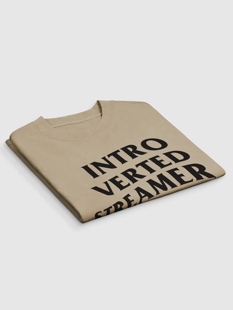 Introverted Streamer Club Oversized Tee product image (8)