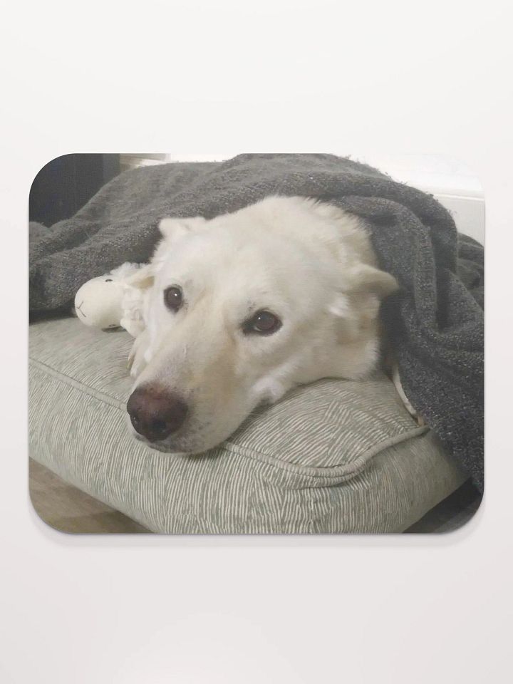 blanket boy product image (1)