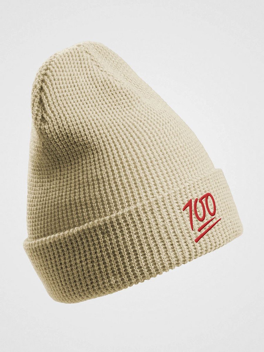 100 Embroided Bennie Hat By Nopa product image (3)