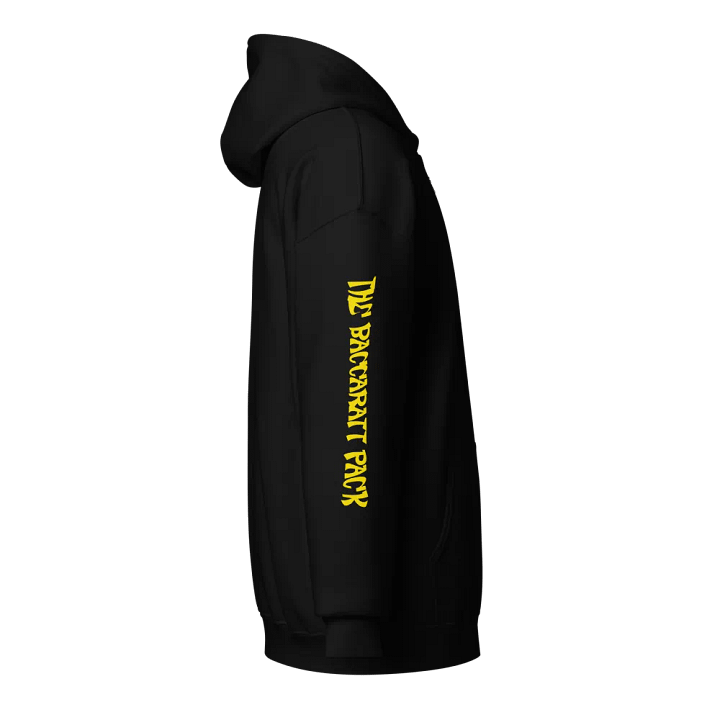 Dripping PACK Zip Hoodie product image (2)
