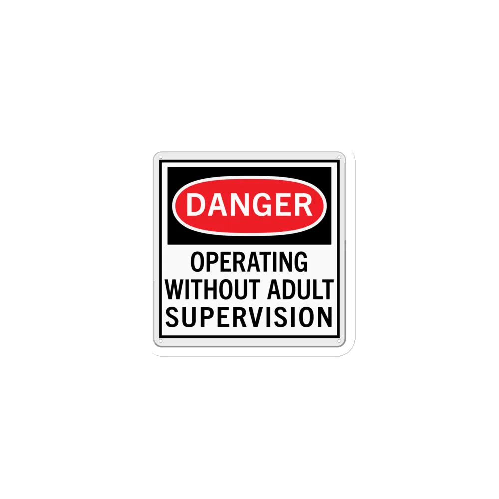 Adult Supervision Magnet product image (1)
