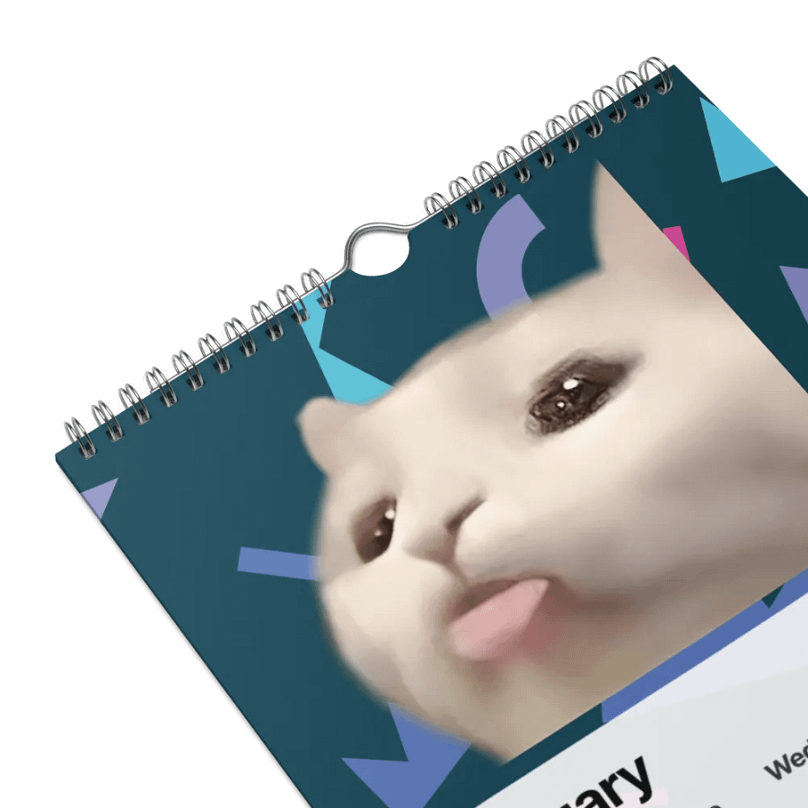 Wall Calendar (2024): Meme Cats product image (9)
