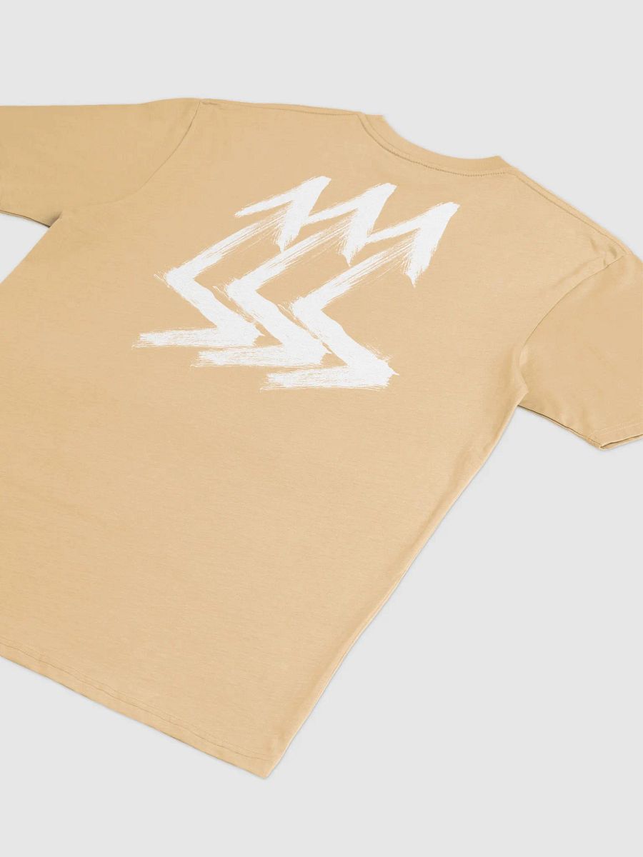 NEVER COMING DOWN product image (24)