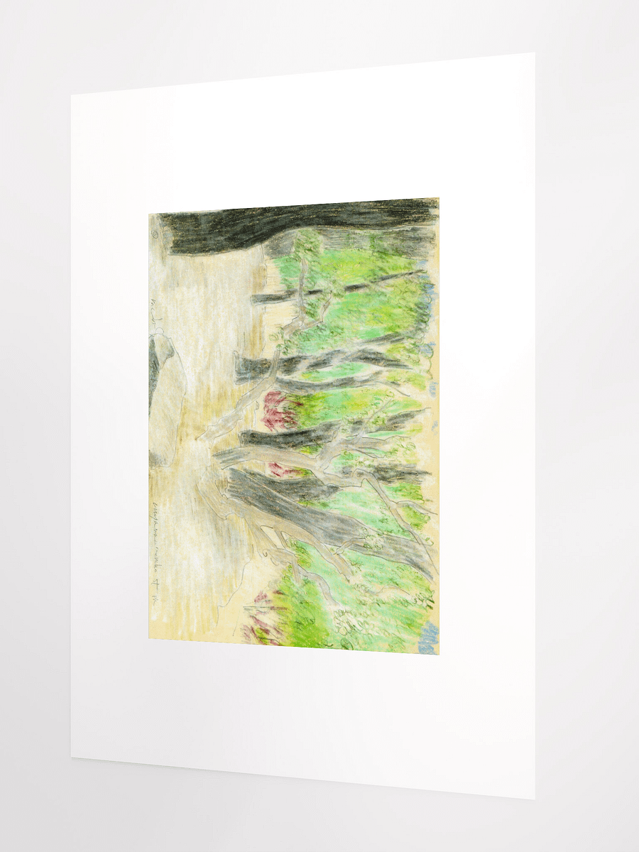Cuyamaya Canyon State Park, CA 09.16.86 print product image (3)