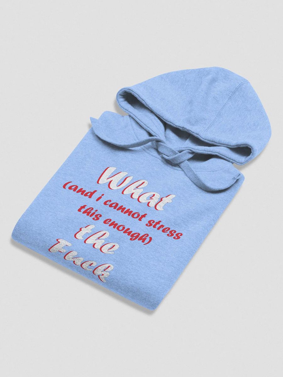 WTF Hoodie product image (45)