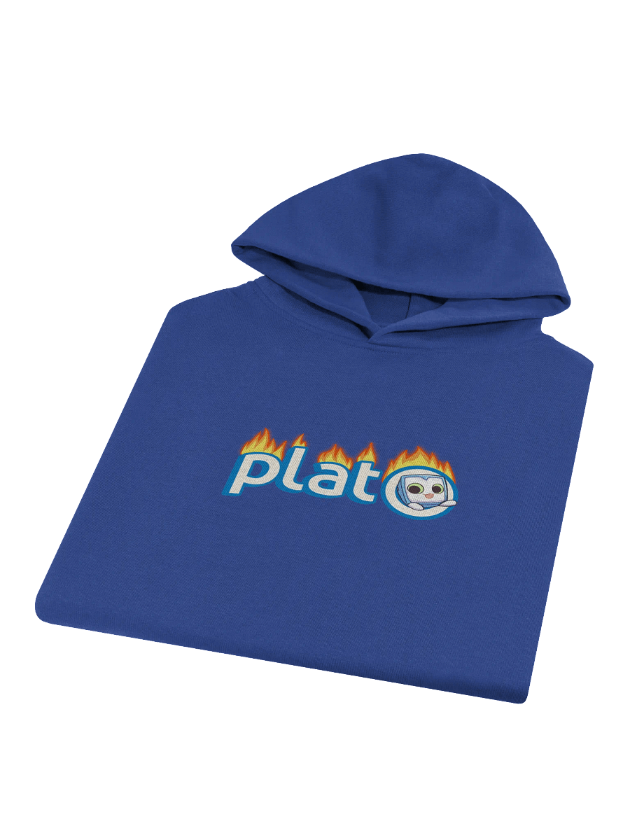 Friendly Fire Pullover Hoodie product image (3)