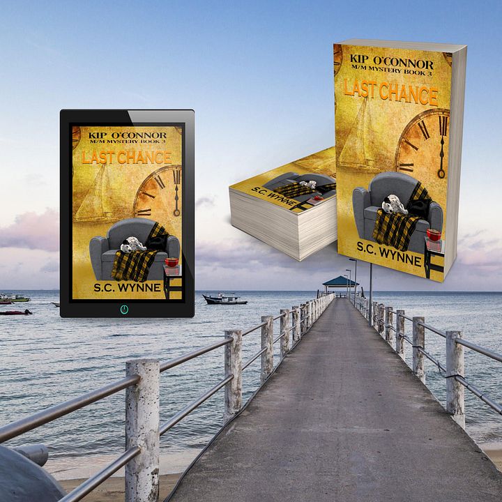 Last Chance (Kip O'Connor M/M Mystery Book 3 product image (2)