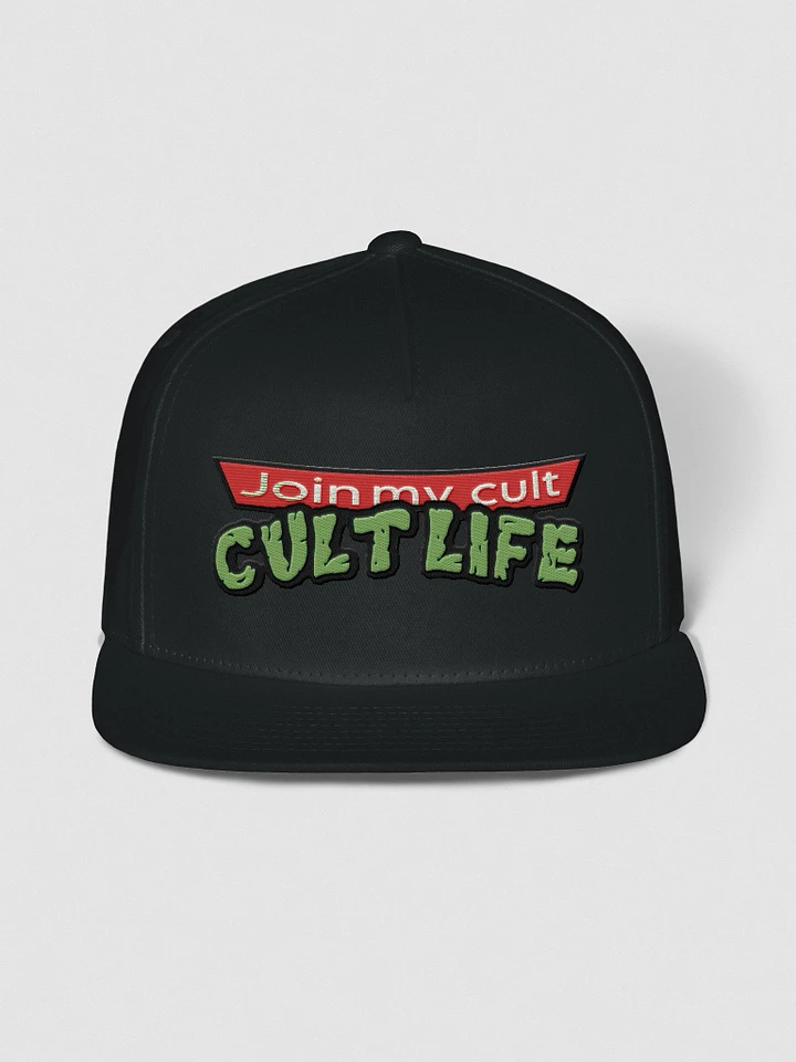 CULT LIFE TURTLES HAT product image (1)