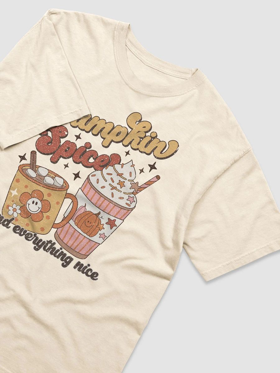 Pumpkin Spice and Everything Nice Y2K T-Shirt | Funny Fall and Halloween T-Shirt Design product image (15)
