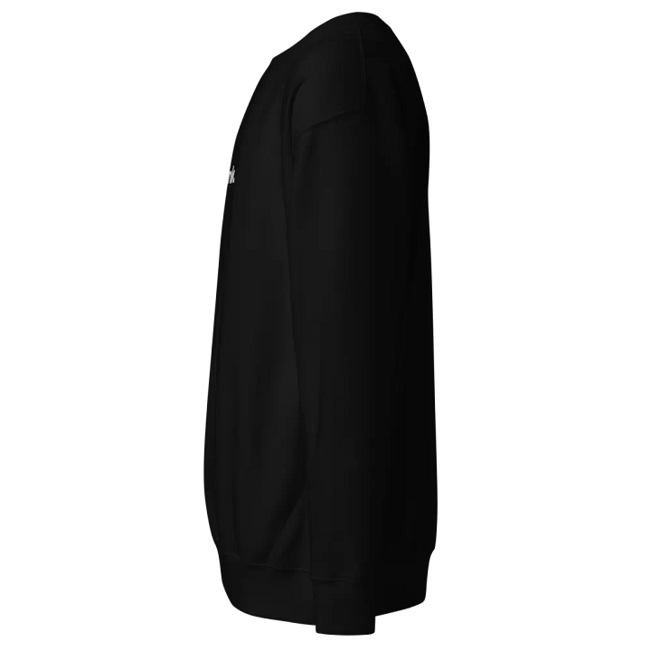 EMBROIDERED CHUNK SWEATSHIRT product image (12)