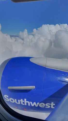 Our heads are in the clouds with this one… ✈️👀😂 #couple #vote #americasfavoritecouple #flight 
@officialfavcouple