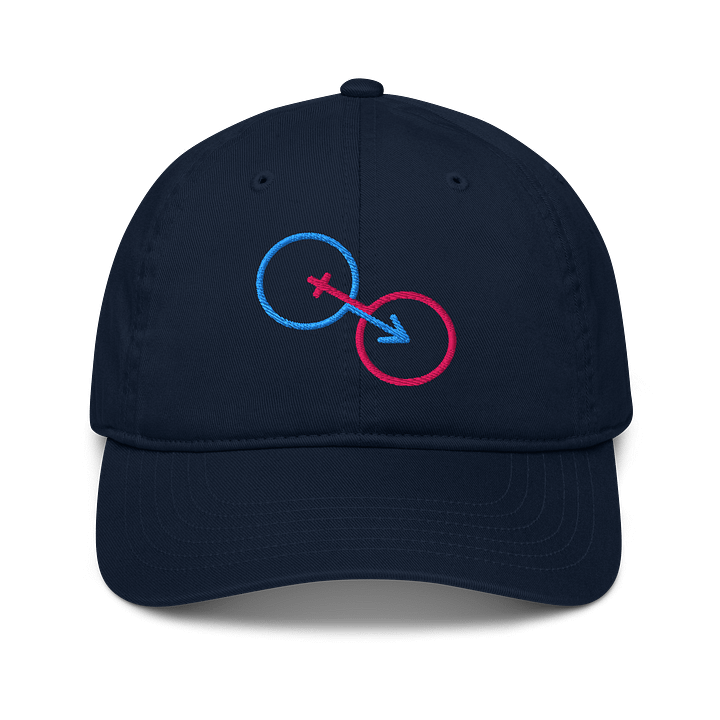 Organic Traditional Gender Connection Dad Hat product image (1)