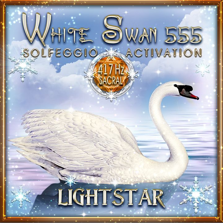 417 Hz Sacral Solfeggio Chakra Activation Music (White Swan 555) product image (1)