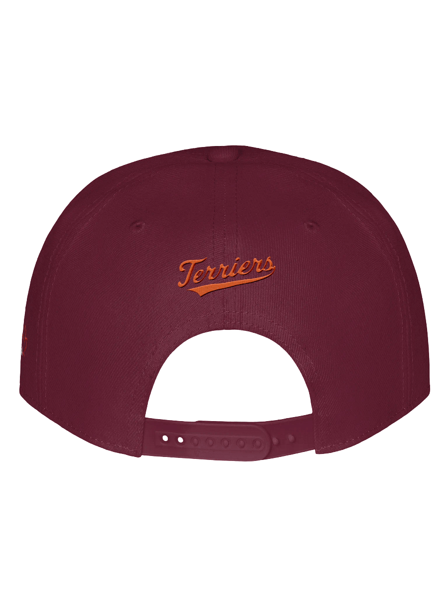 Galt Terriers Legacy Cap product image (22)