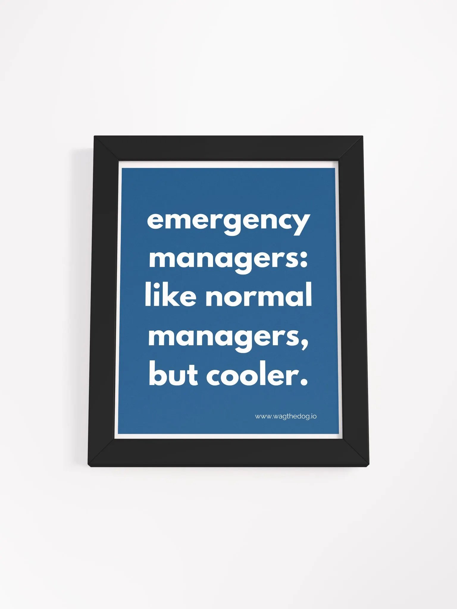 Emergency Managers - Framed Poster product image (1)