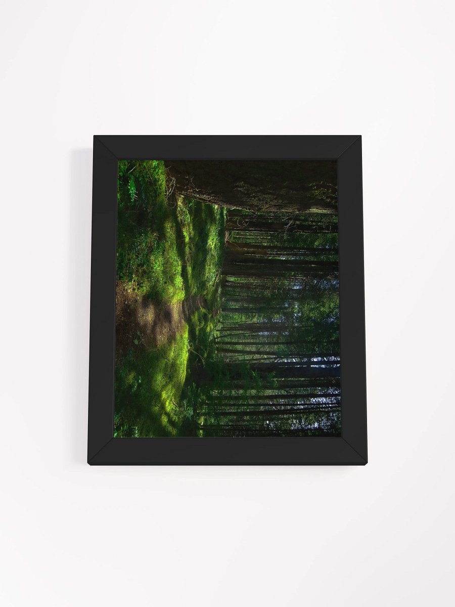 Lower Dungeness Trail Timber sun lighting Matte Poster product image (1)