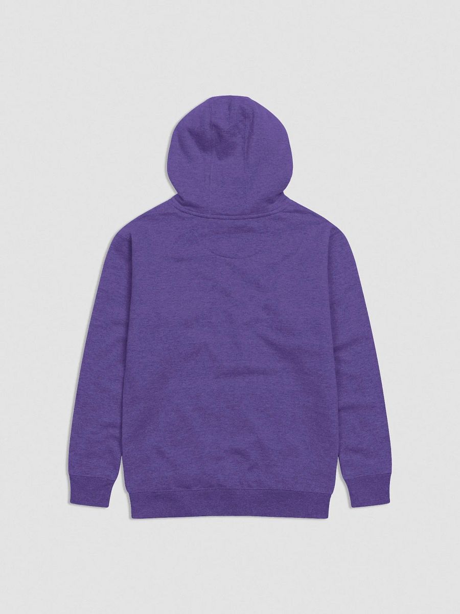 BiS Kai Embroidered Hoodie (zzZ) +12 Alt. Colors product image (3)
