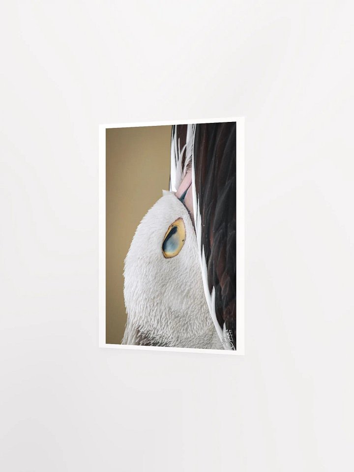 Pelicans Rest - Print product image (2)