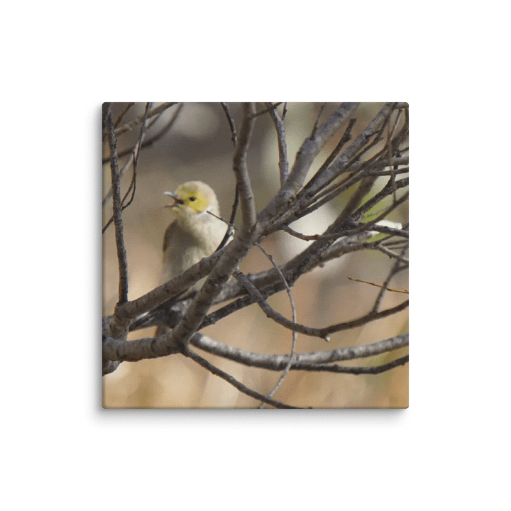 Bird Canvas product image (1)