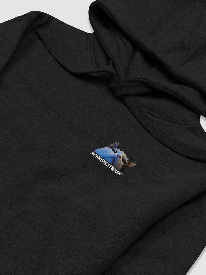 HOODIE - MONNOMESTBRIAN - UNISEX product image (2)