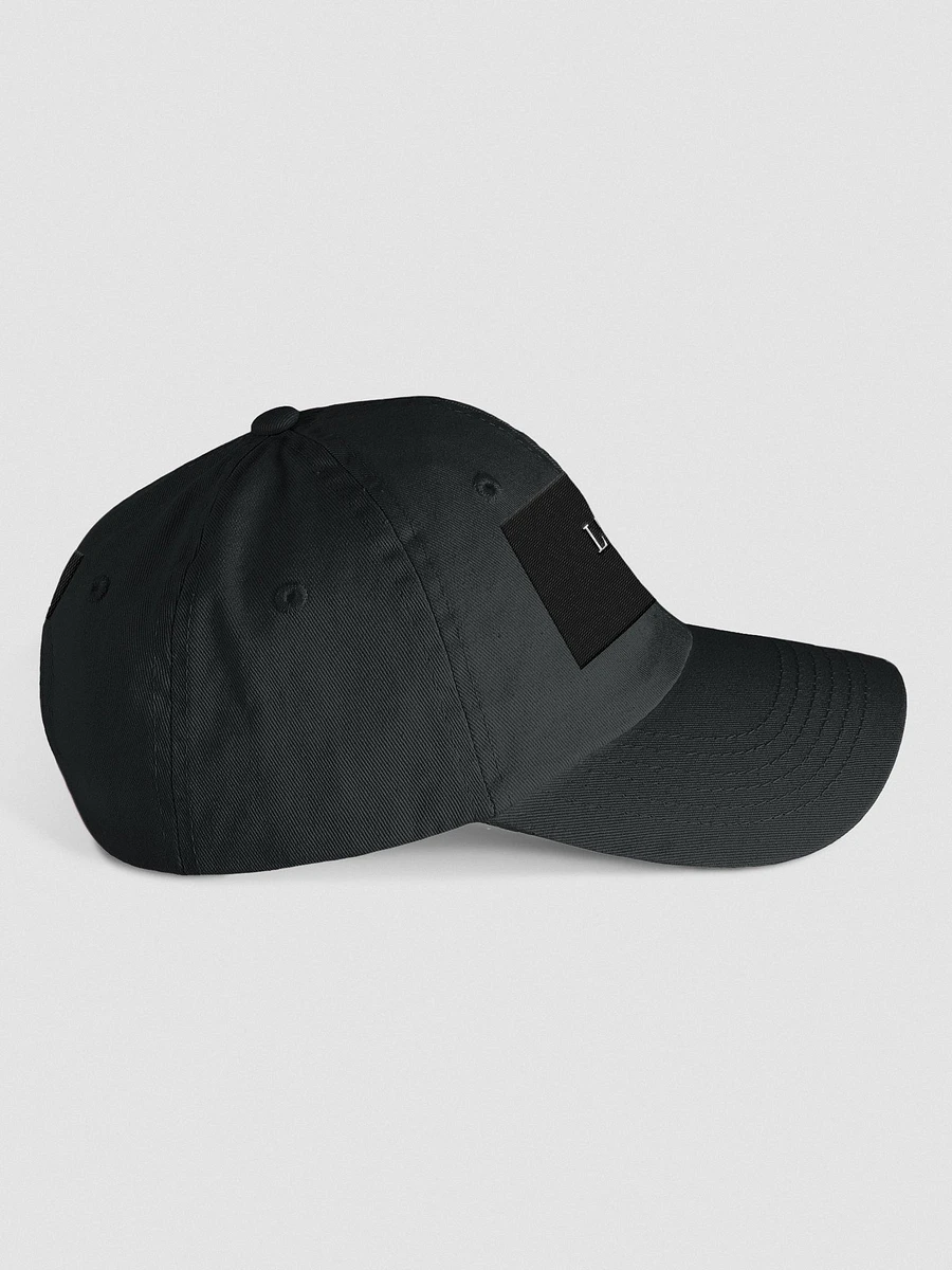 LTIAMB DAD'S HAT product image (3)